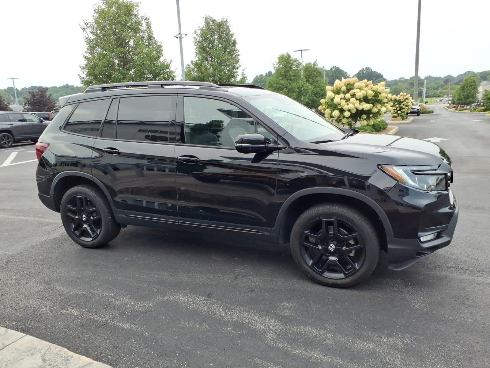 2024 Honda Passport Black Edition